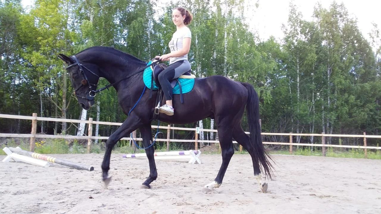 Александра Пудовкина - обо мне