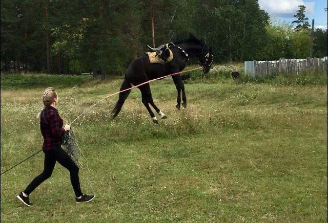 Александра Пудовкина - обо мне