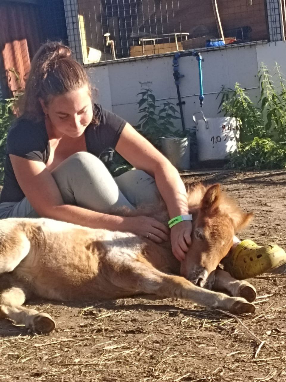 Александра Пудовкина - обо мне