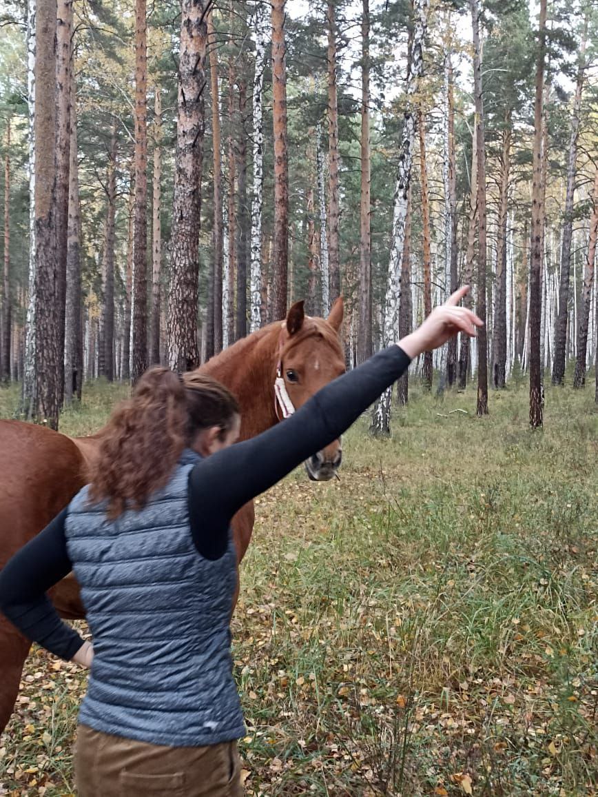 Александра Пудовкина - обо мне