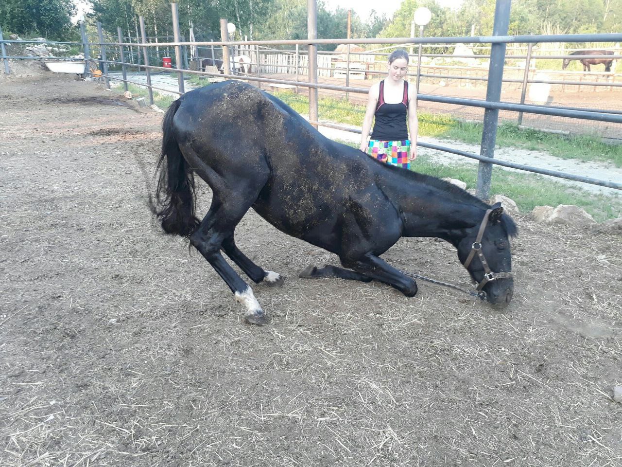 Александра Пудовкина - обо мне